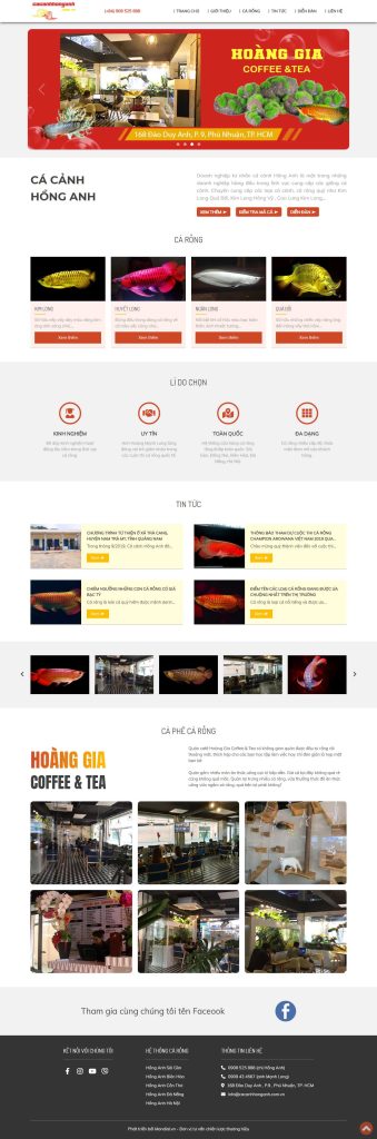 Kinh Doanh Cá Cảnh Online