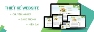 Dịch Vụ Thiết Kế Website Điện Biên