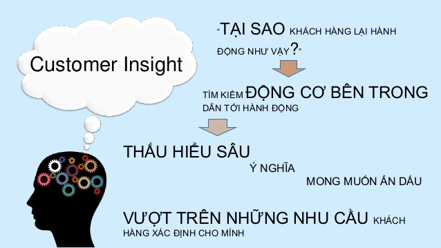 Vai Trò Của Customer Insight Trong Digital Marketing