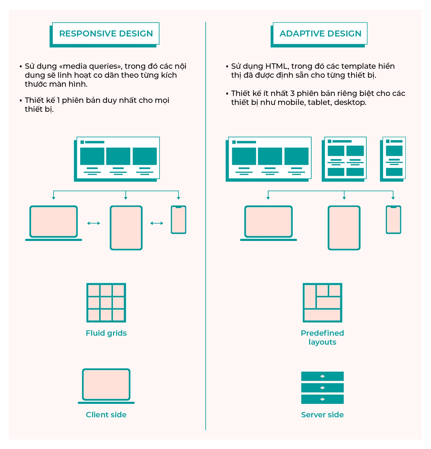 Thiết Kế Responsive Web Design (RWD) - Xu Hướng Tất Yếu
