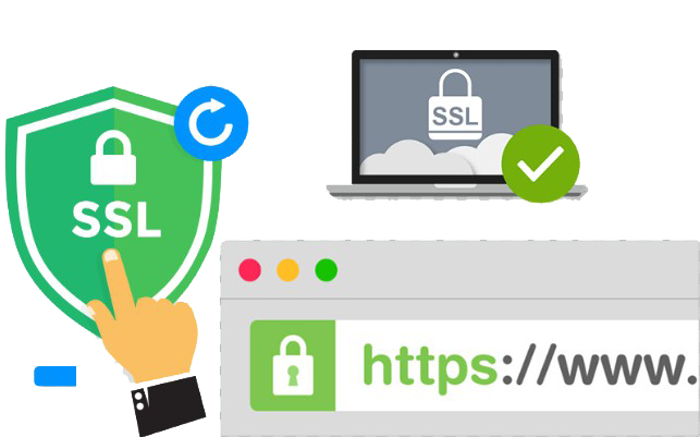 Thiết kế website trọn gói có bao gồm SSL và HTTPS không?