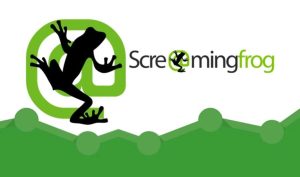 Screaming Frog là gì