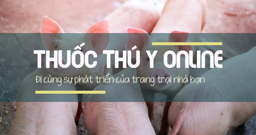 5. Xây Dựng Chiến Lược Kinh Doanh và Marketing Online