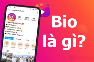 Bio Link Là Gì
