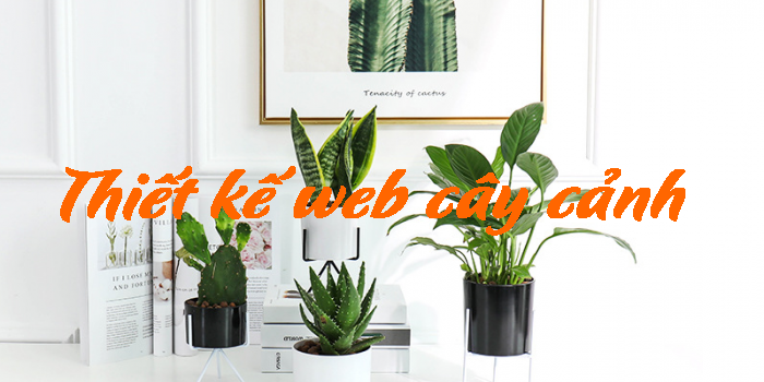 Kinh doanh cây cảnh online
