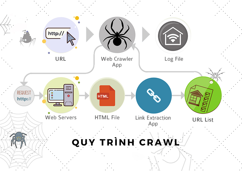 Sử Dụng Cấu Trúc Website Dễ Đọc Với Google Bot (Crawler)