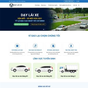 Dịch Vụ Thiết Kế Website Dạy Lái Xe