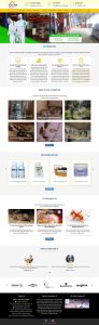 Dịch Vụ Thiết Kế Website Diệt Mối