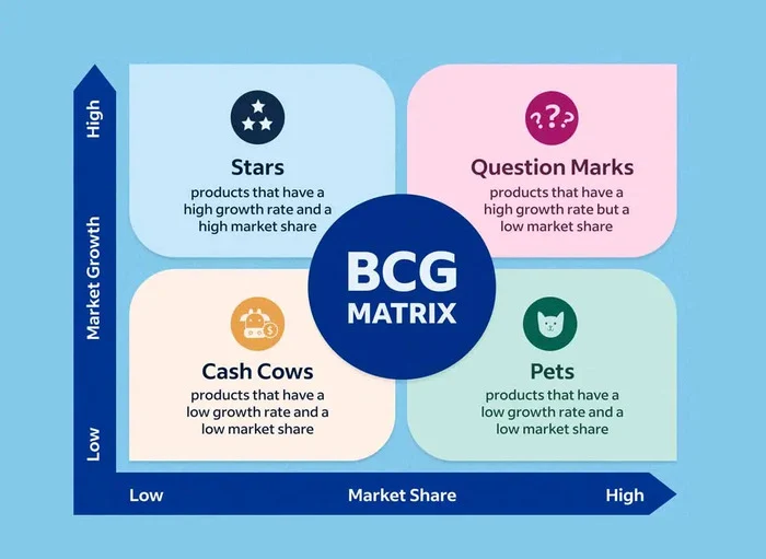 Cấu trúc của Ma trận BCG