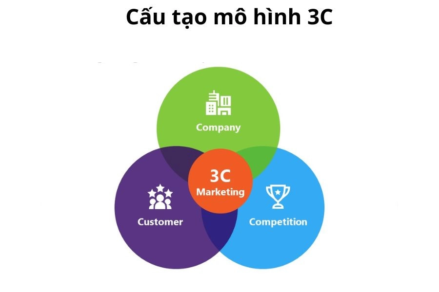 2.2. Competitor (Đối thủ cạnh tranh)