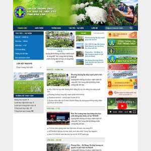 Dịch vụ Thiết kế website Bắc Ninh