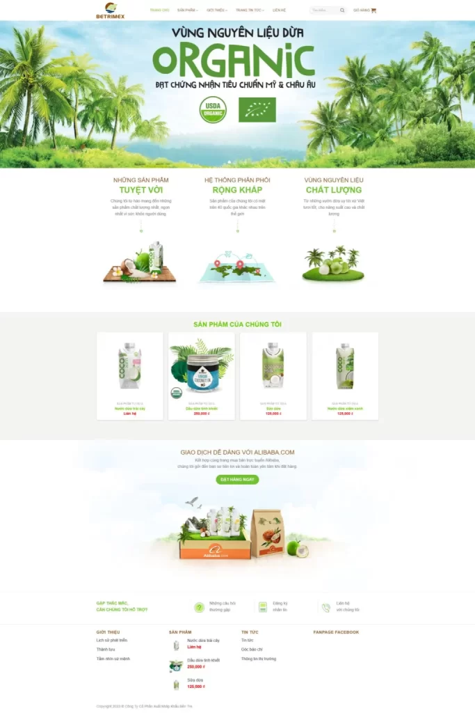 Dịch Vụ Thiết Kế Website Sản Phẩm Từ Dừa