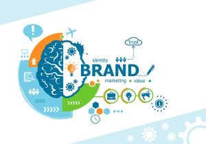 Brand Management là gì