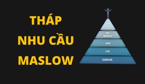 Tháp Nhu Cầu Maslow Ứng Dụng Trong Marketing Như Thế Nào