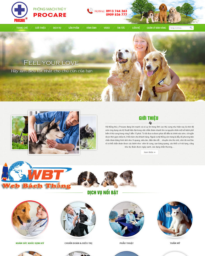 Chi Phí Và Thời Gian Thiết Kế Website Thú Y