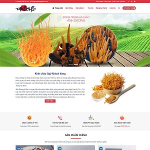 Dịch Vụ Thiết Kế Website Bán Đông Trùng Hạ Thảo