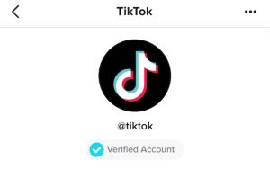 Tích Xanh TikTok là gì