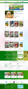 Dịch Vụ Thiết Kế Website Bán Gạo